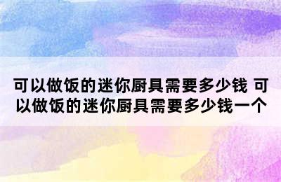 可以做饭的迷你厨具需要多少钱 可以做饭的迷你厨具需要多少钱一个